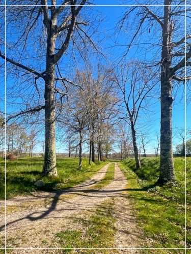 Photos 39 - Prestigious - NOGARO (32) nearby, CHARMING 18th century PROPERTY, hamlet style, NO NEIGHBORS, quiet, with outbuild