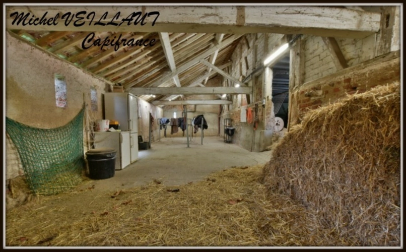 Photos 14 - Équestre - Propriete à vendre maison 7 pièces THIONNE (03), Barn 12 box, Bâtiment agricole, 2 Gîtes, terrain 35174 m²