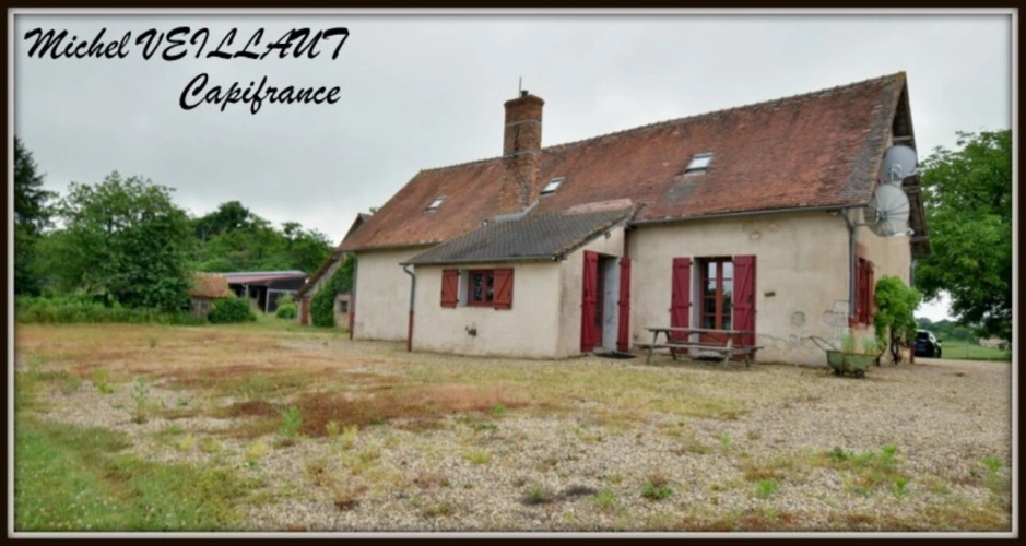 Photos 18 - Équestre - Propriete à vendre maison 7 pièces THIONNE (03), Barn 12 box, Bâtiment agricole, 2 Gîtes, terrain 35174 m²