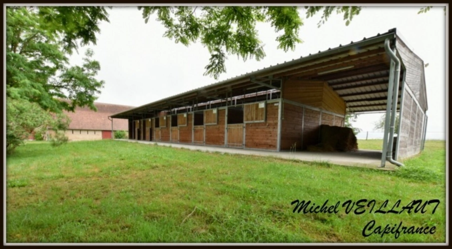 Photos 20 - Équestre - Propriete à vendre maison 7 pièces THIONNE (03), Barn 12 box, Bâtiment agricole, 2 Gîtes, terrain 35174 m²