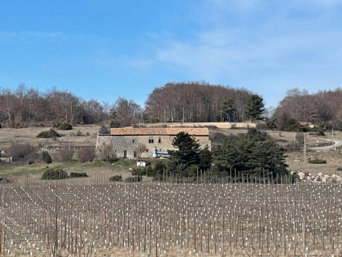 Photos 1 - Prestige - À VENDRE – Château à rénover sur domaine de 100 hectares