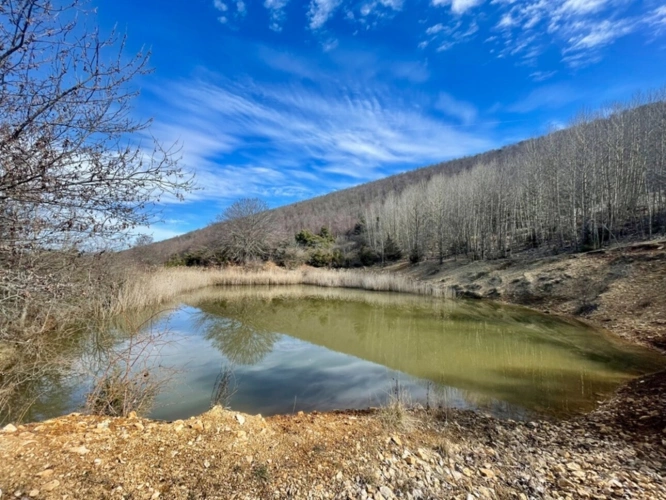 Photos 2 - Prestige - À VENDRE – Château à rénover sur domaine de 100 hectares