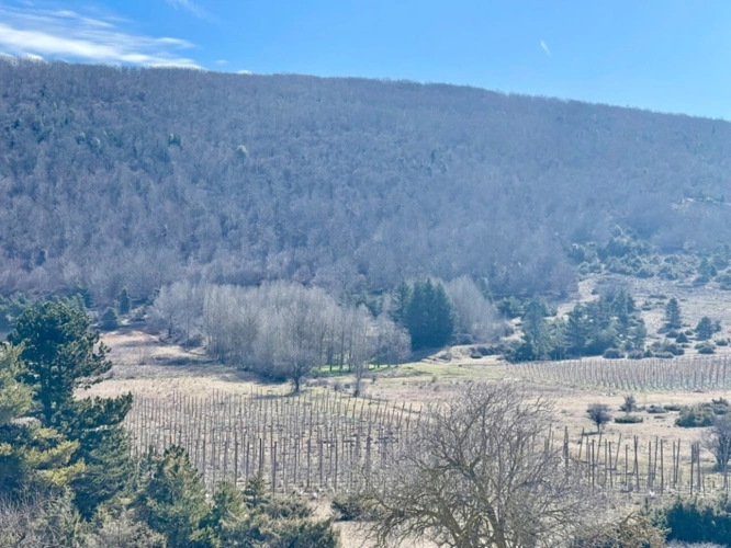 Photos 4 - Prestige - À VENDRE – Château à rénover sur domaine de 100 hectares