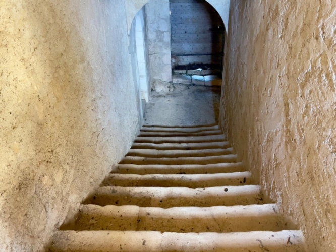 Photos 10 - Prestige - À VENDRE – Château à rénover sur domaine de 100 hectares