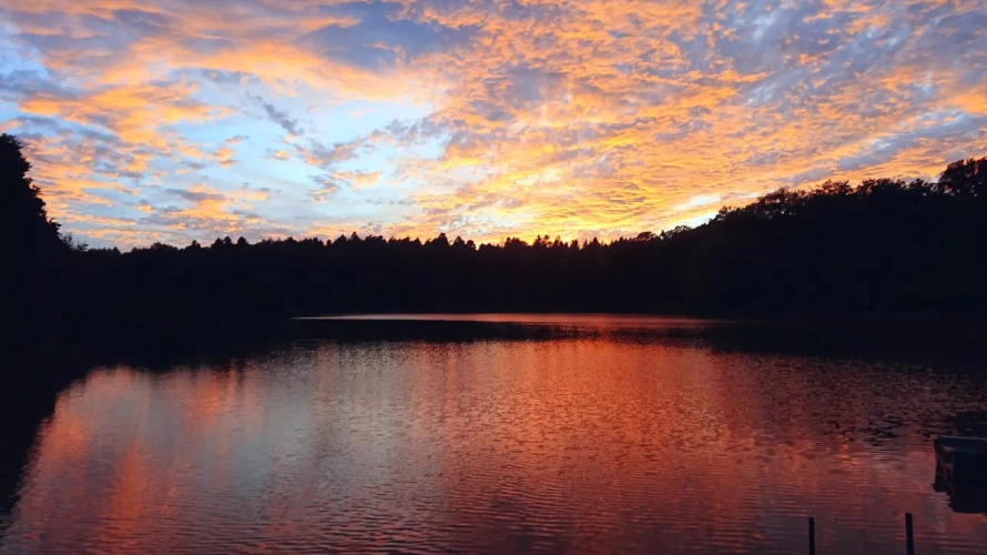 Photos 6 - Foncière - Etang et forêt dans le haut rhin