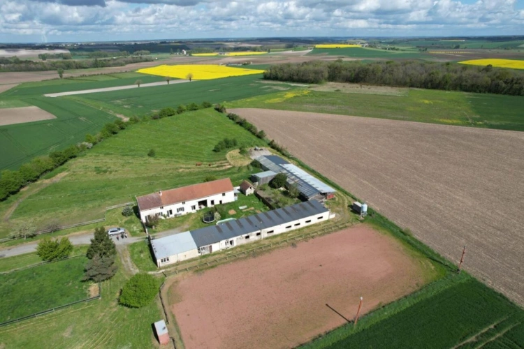 Photos 2 - Équestre - Propriété équestre avec installations complètes et maison r?