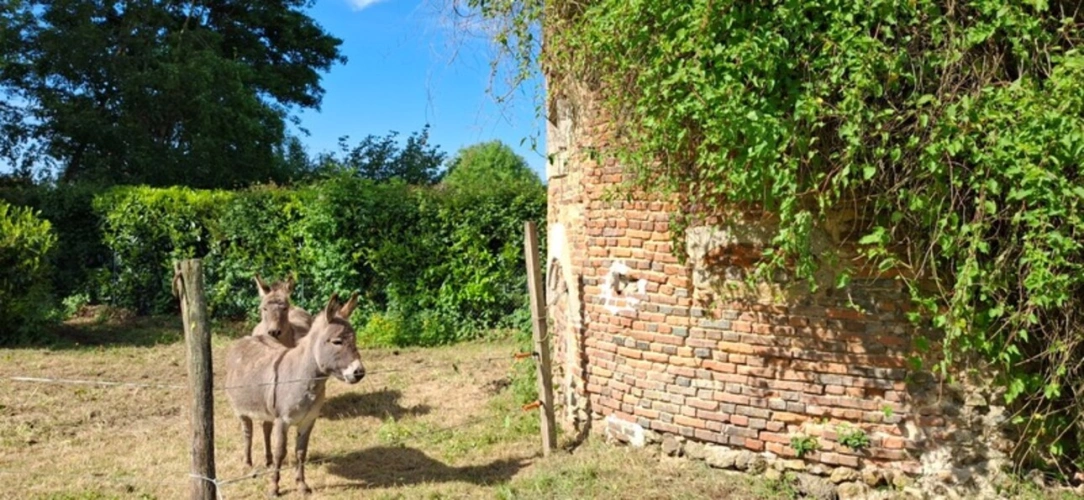 Photos 8 - Prestige - Château du XVIIIème à 1h10 de Paris. Conçu pour accueillir activités professionnelles et vie familiale indépendante