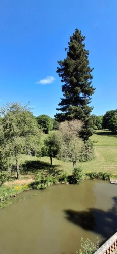 Photos 9 - Prestige - Château du XVIIIème à 1h10 de Paris. Conçu pour accueillir activités professionnelles et vie familiale indépendante