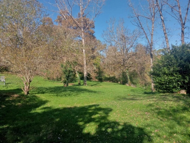 Photos 4 - Touristique - Propriété