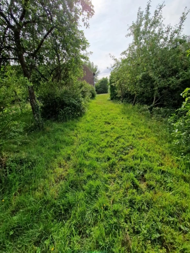 Photos 6 - Équestre - Propriété sur plus de 4 Hectares 60 a 93 ca idéal Chevaux  ou gites - Hauts de France