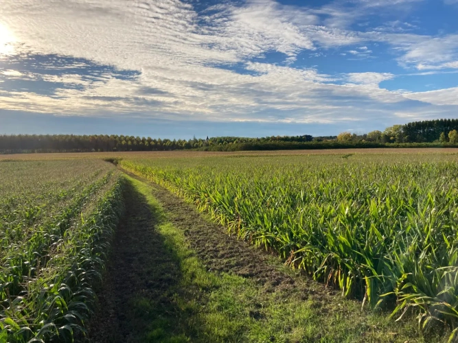 Photos 3 - Agricole - Exploitation agricole de 75ha dont 70ha de terres de vallées (avec irrigation) en Dordogne (24)