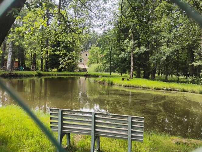 Photos 20 - Touristique - Ferme rénovée, sur 50 ares avec rivière