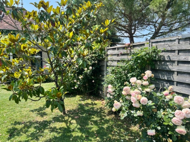Photos 43 - Prestige - Propriété  sud Touraine 12 piéces