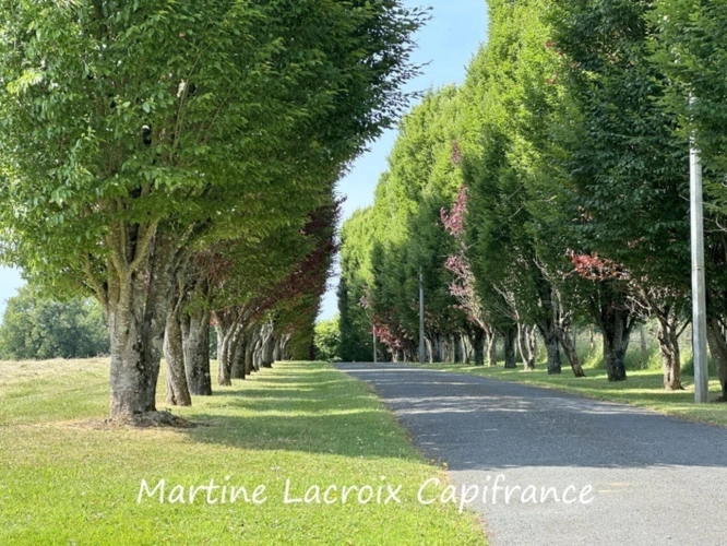 Photos 6 - Prestige - Dpt SARTHE (72), à vendre proche de LA FERTE BERNARD - PROPRIÉTÉ  P8 de 226 m² - Terrain de 2,50 Ha