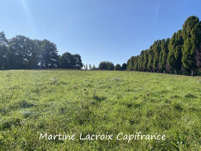 Photos 38 - Prestige - Dpt SARTHE (72), à vendre proche de LA FERTE BERNARD - PROPRIÉTÉ  P8 de 226 m² - Terrain de 2,50 Ha