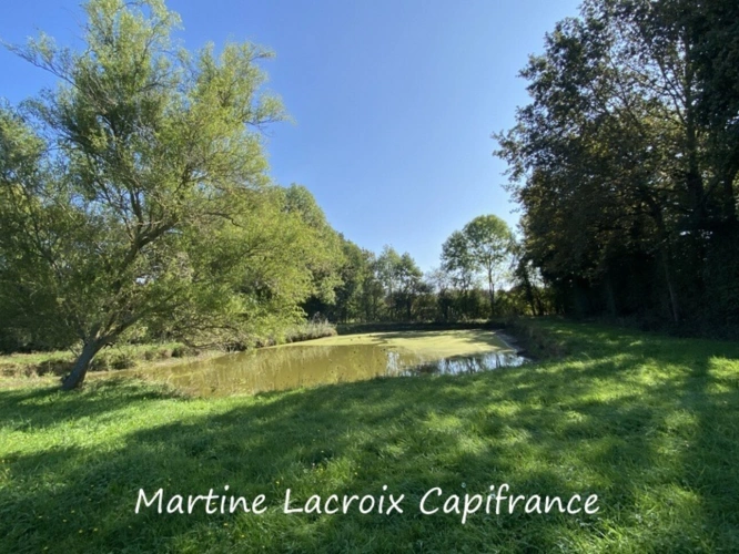 Photos 46 - Prestige - Dpt SARTHE (72), à vendre proche de LA FERTE BERNARD - PROPRIÉTÉ  P8 de 226 m² - Terrain de 2,50 Ha