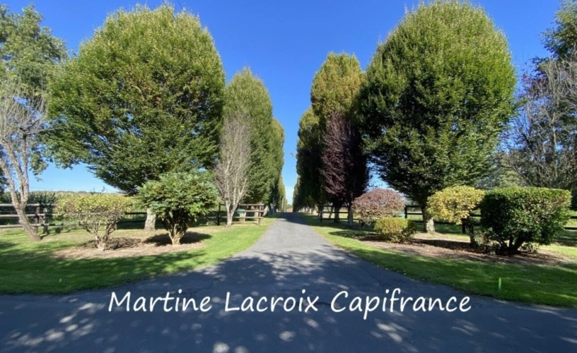 Photos 47 - Prestige - Dpt SARTHE (72), à vendre proche de LA FERTE BERNARD - PROPRIÉTÉ  P8 de 226 m² - Terrain de 2,50 Ha
