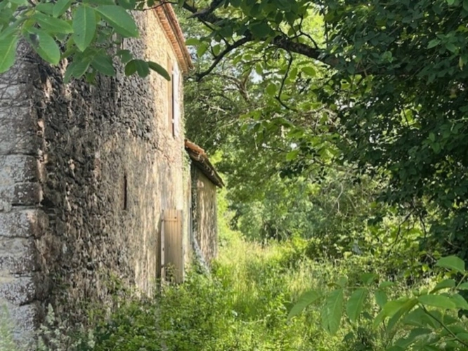 Photos 44 - Prestige - PLAISANCE DU GERS-MARCIAC, AUTHENTIQUE PROPRIETE RURALE 2 hecataressans voisin, sans vis à vis, un peu cachée et pourtant avec une jolie vue sur coteaux gascons