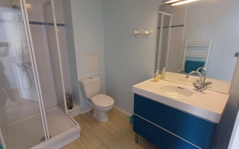 Photos 9 - Prestige - Propriete à vendre 13 pièces ROUILLAC (16)
