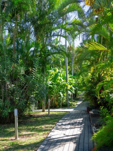 Photos 6 - Prestige - Magnifique propriété avec une villa, un studio et 6 bungalows à vendre LA RIVIERE (974)