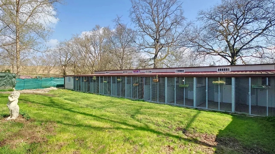 Photos 16 - Agricole - A vendre Maison à Calignac 183 m2 avec jardin, piscine et pension canine