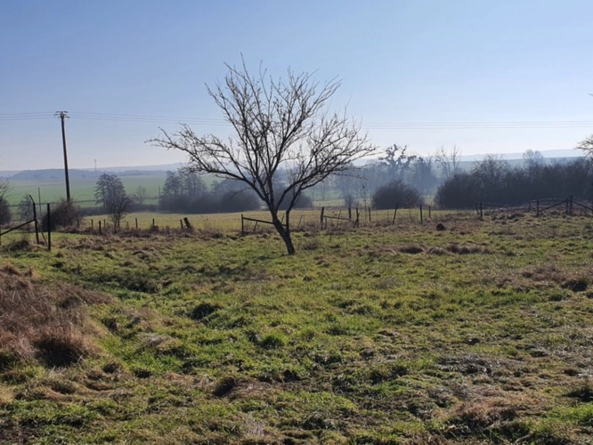 Photos 20 - Touristique - Dpt Vosges (88), à vendre proche CONTREXEVILLE VITTEL - FERME LORRAINE T7 sur 1,7 hectare de TERRAIN