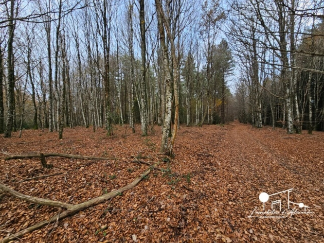 Photos 5 - Équestre - Dpt Aude (11), à vendre LES MARTYS propriete P5 de 110 m² - Terrain de 20,00 Ha -garage-source