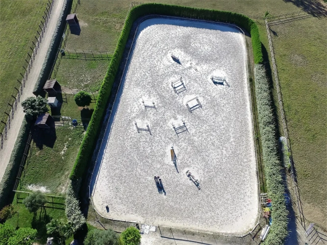 Photos 2 - Équestre - Tarn et Garonne .Propriété équestre de qualité