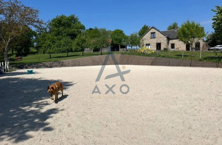 Photos 3 - Équestre - Véritable havre de paix pour les amoureux de la nature et des chevaux – Propriété équestre rénovée