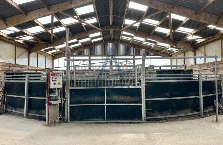 Photos 10 - Équestre - Haras d’Entraînement de Courses sur 28 Hectares – Installations Haut de Gamme – Cadre Exceptionnel
