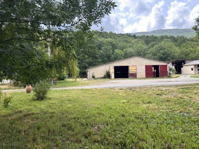 Photos 23 - Équestre - Propriété équestre avec gîte sur 6,3 ha