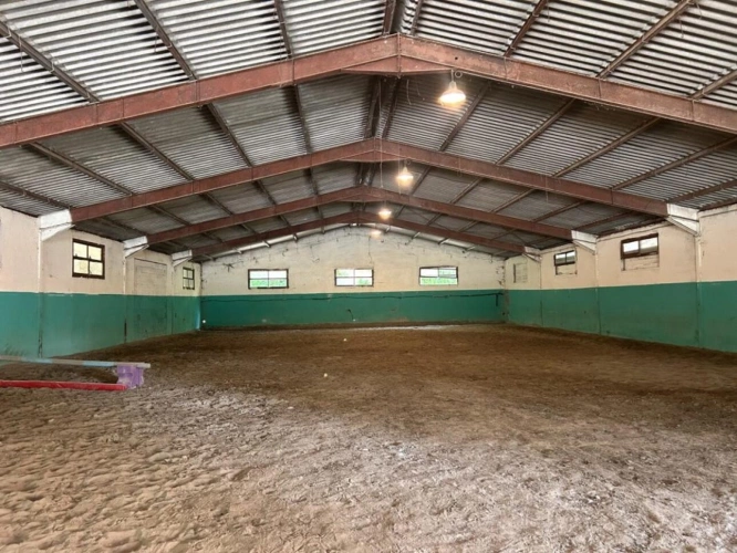 Photos 24 - Équestre - Propriété équestre avec gîte sur 6,3 ha