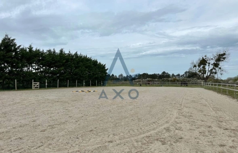 Photos 6 - Equestrian - Propriété équestre avec gîtes en bord de mer