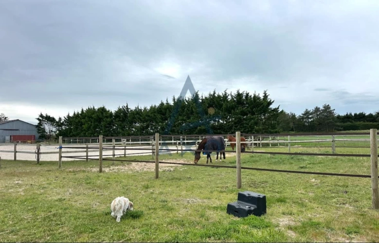 Photos 7 - Equestrian - Propriété équestre avec gîtes en bord de mer