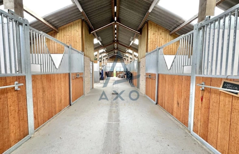 Photos 10 - Equestrian - Propriété équestre avec gîtes en bord de mer