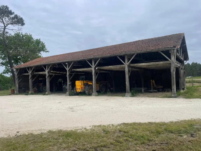 Photos 6 - Forestière - Domaine de chasse de 100 ha avec gîtes à 20 minutes de Montpon-Ménestérol (24)