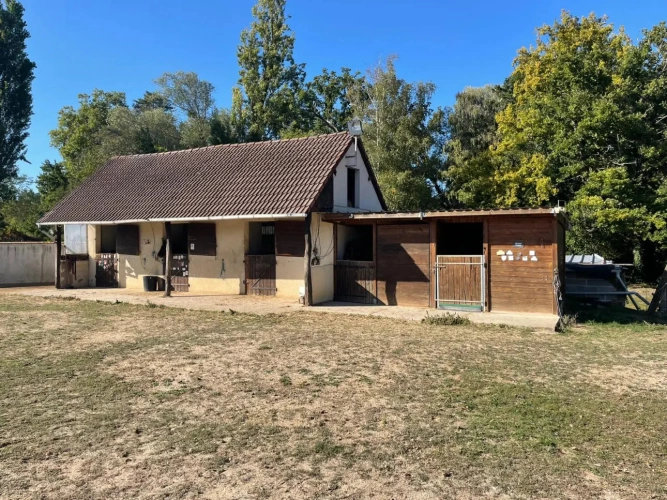 Photos 5 - Équestre - Propriété équestre sur 1,9 ha à 10 mn de Bourges (18)