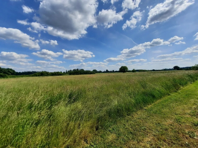 Photos 2 - Équestre - Propriété équestre sur 6,3 ha à 15 mn de Vierzon (18)
