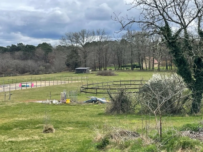 Photos 2 - Équestre - Propriété équestre sur 17 ha - 25 mn SARLAT LA CANÉDA (24)