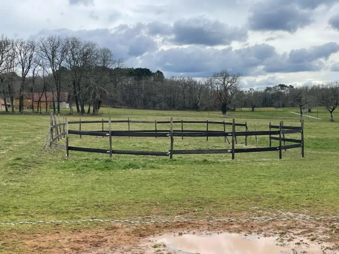 Photos 9 - Équestre - Propriété équestre sur 17 ha - 25 mn SARLAT LA CANÉDA (24)