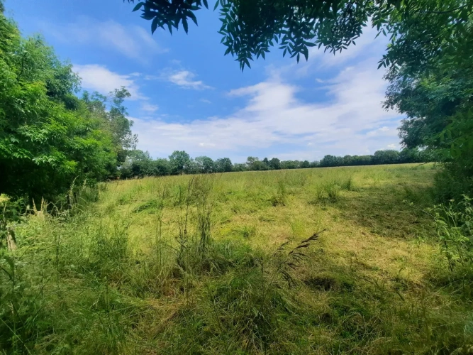 Photos 15 - Equestrian - Historical residence -3.6 ha horses and gites at 30 minutes La Rochelle
