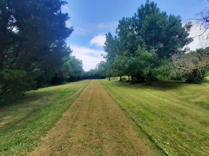 Photos 16 - Equestrian - Historical residence -3.6 ha horses and gites at 30 minutes La Rochelle