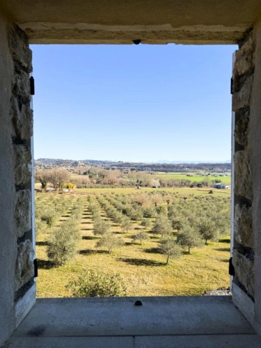 Photos 24 - Agricultural - House 240m2