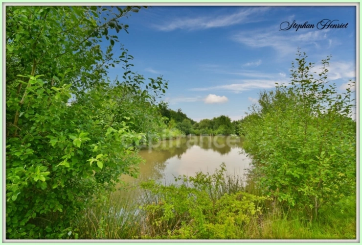 Photos 4 - Foncière - Terrain à vendre de 31 710,00 m² BOULT AUX BOIS (08)