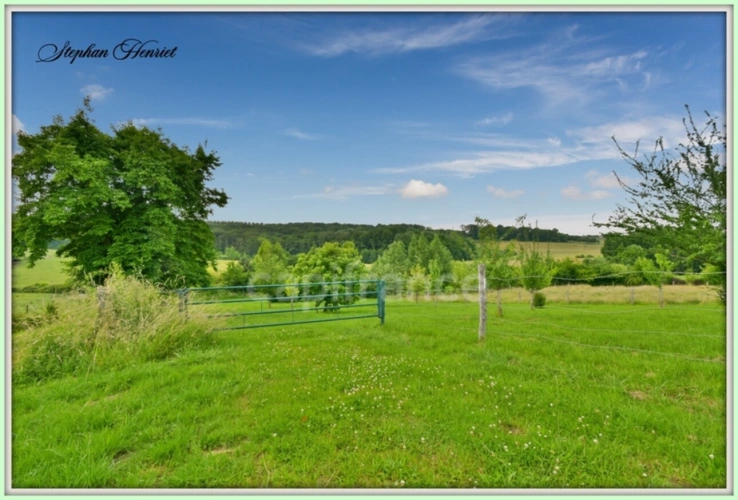 Photos 18 - Foncière - Terrain à vendre de 31 710,00 m² BOULT AUX BOIS (08)