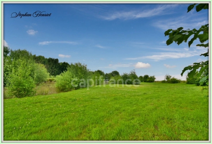 Photos 20 - Foncière - Terrain à vendre de 31 710,00 m² BOULT AUX BOIS (08)