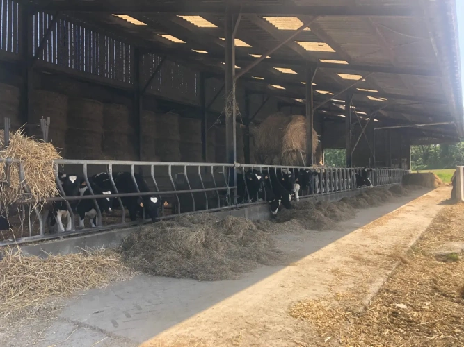 Photos 3 - Agricultural - Dairy farm less than 20 km from Dinan