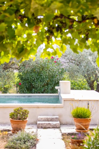 Photos 9 - Viticole - VENTE D'UN DOMAINE VITICOLE CLE EN MAIN EN PROVENCE