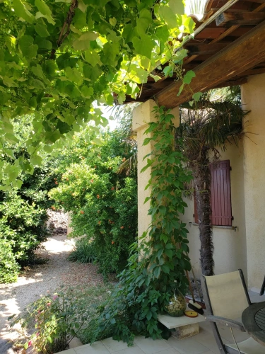 Photos 4 - Viticole - VENTE D'UN DOMAINE VITICOLE CLE EN MAIN EN PROVENCE