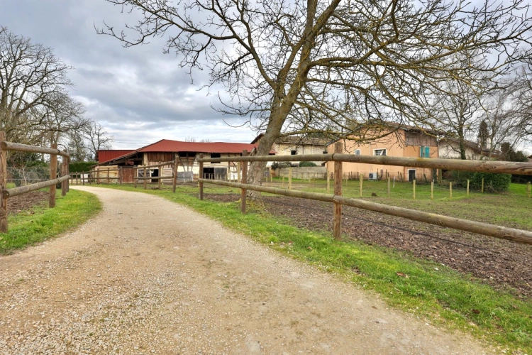 Photos 7 - Équestre - Propriété équestre clé en main de 3,5 hectares dans l’Ain